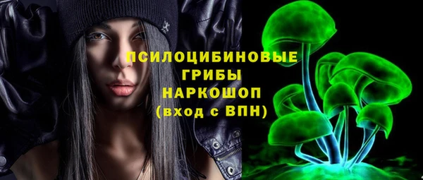 крисы Балахна